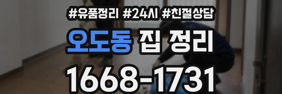 오도동 집 정리