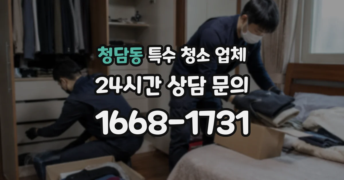 청담동 특수 청소 업체