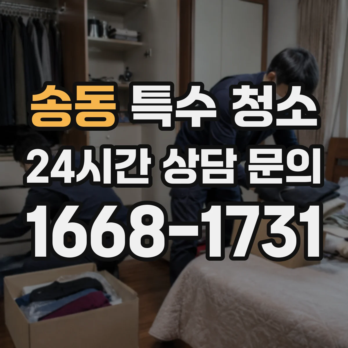 송동 특수 청소