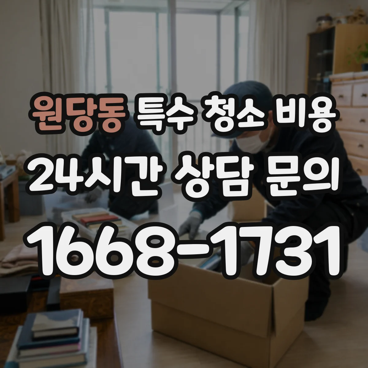 원당동 특수 청소 비용