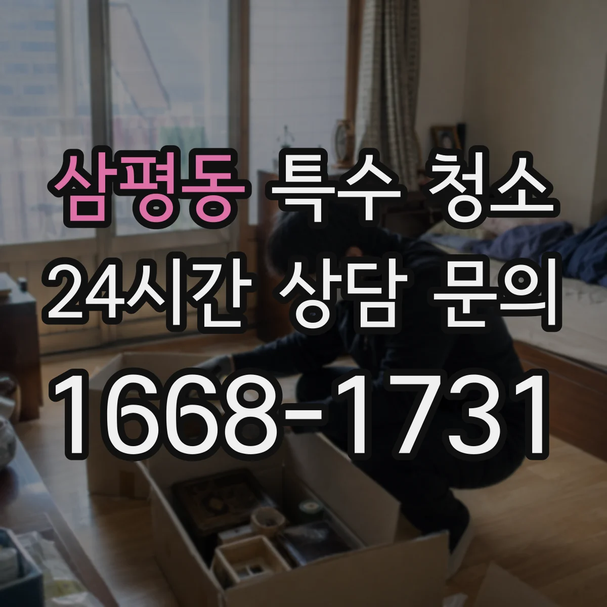 삼평동 특수 청소