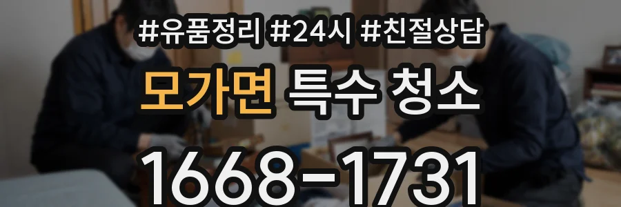 모가면 특수 청소