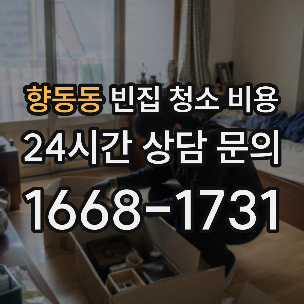 향동동 빈집 청소 비용