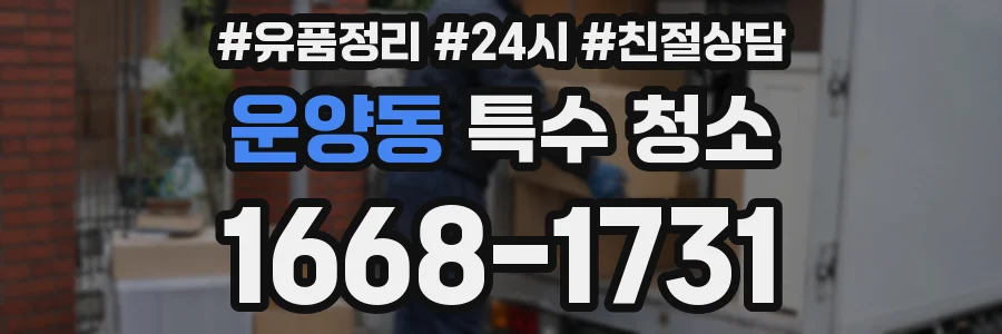 운양동 특수 청소