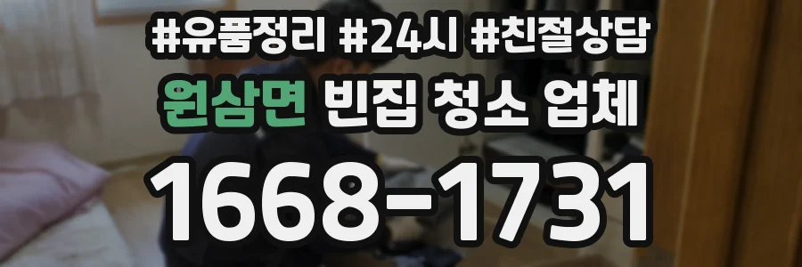 원삼면 빈집 청소 업체