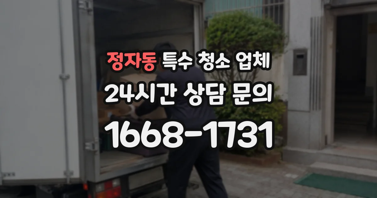 정자동 특수 청소 업체