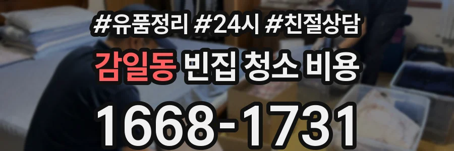 감일동 빈집 청소 비용
