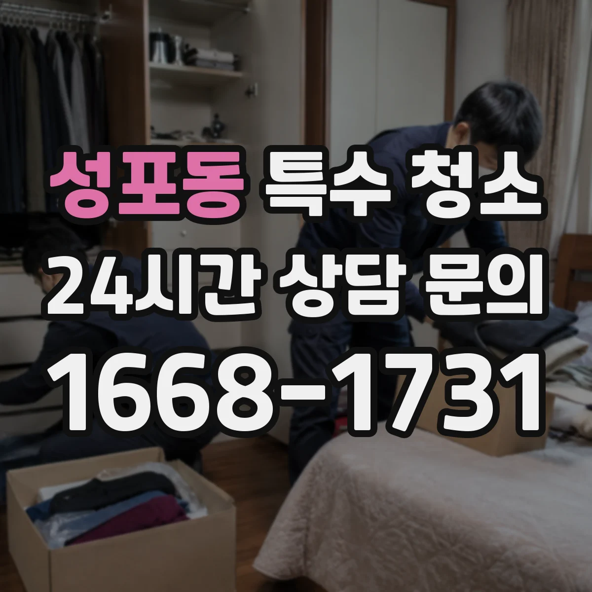 성포동 특수 청소