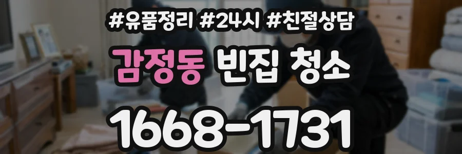 감정동 빈집 청소