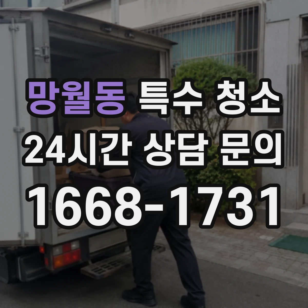망월동 특수 청소