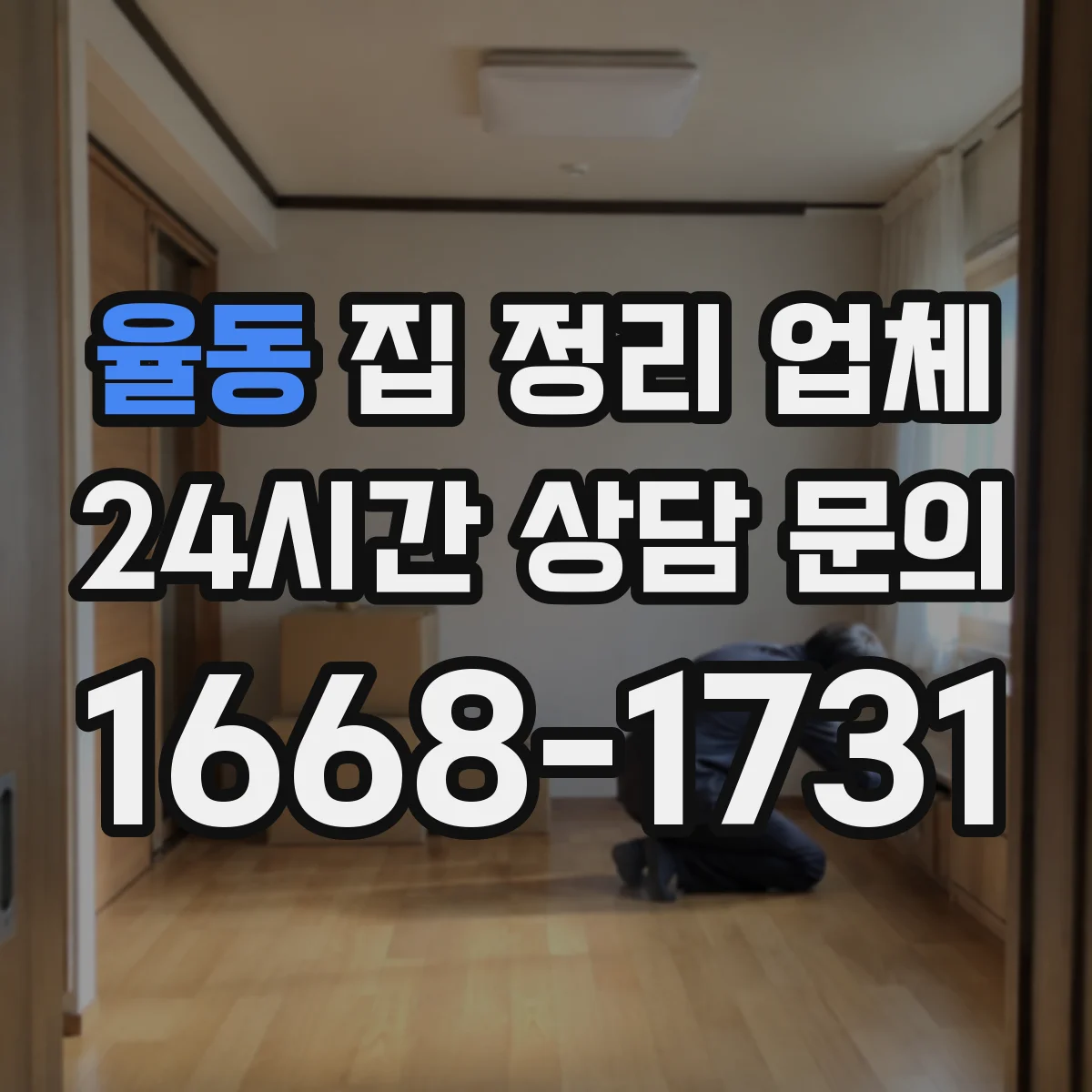 율동 집 정리 업체