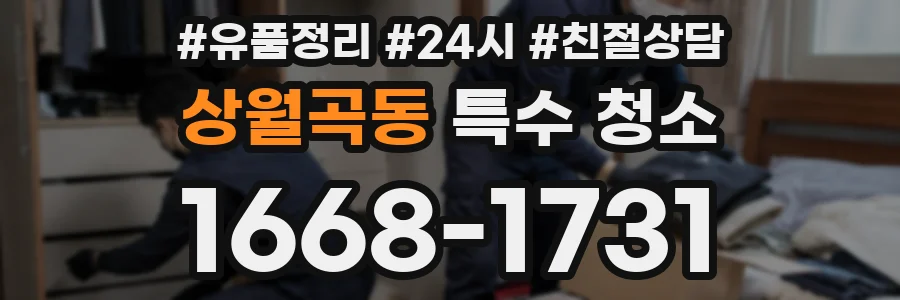 상월곡동 특수 청소
