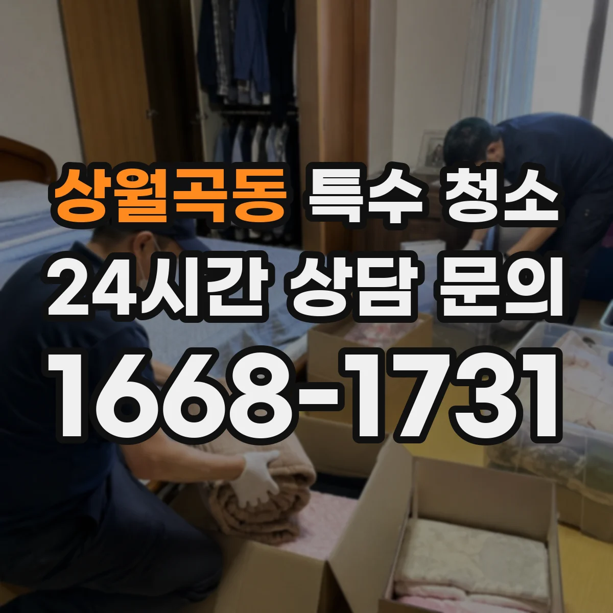 상월곡동 특수 청소