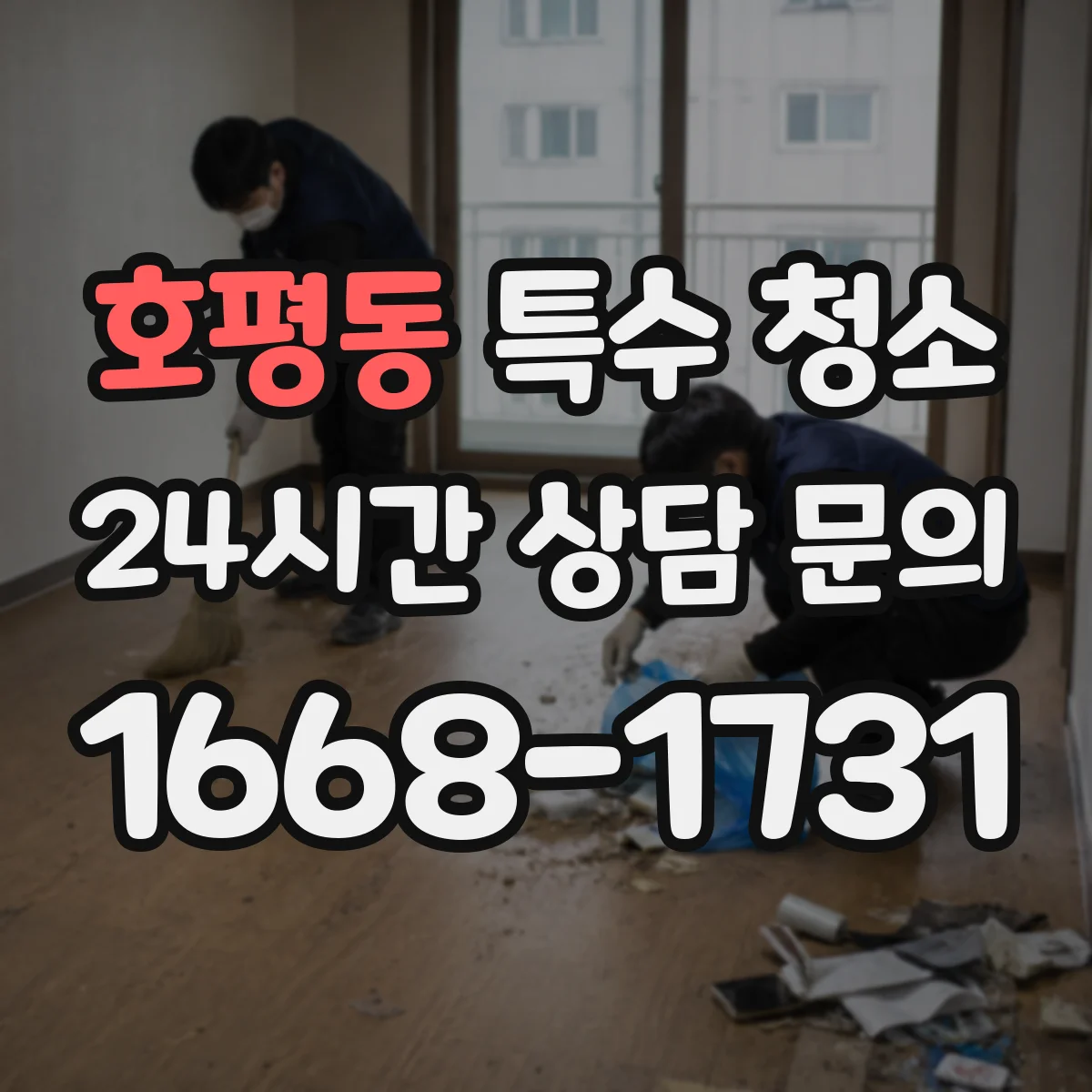호평동 특수 청소