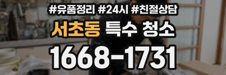 서초동 특수 청소