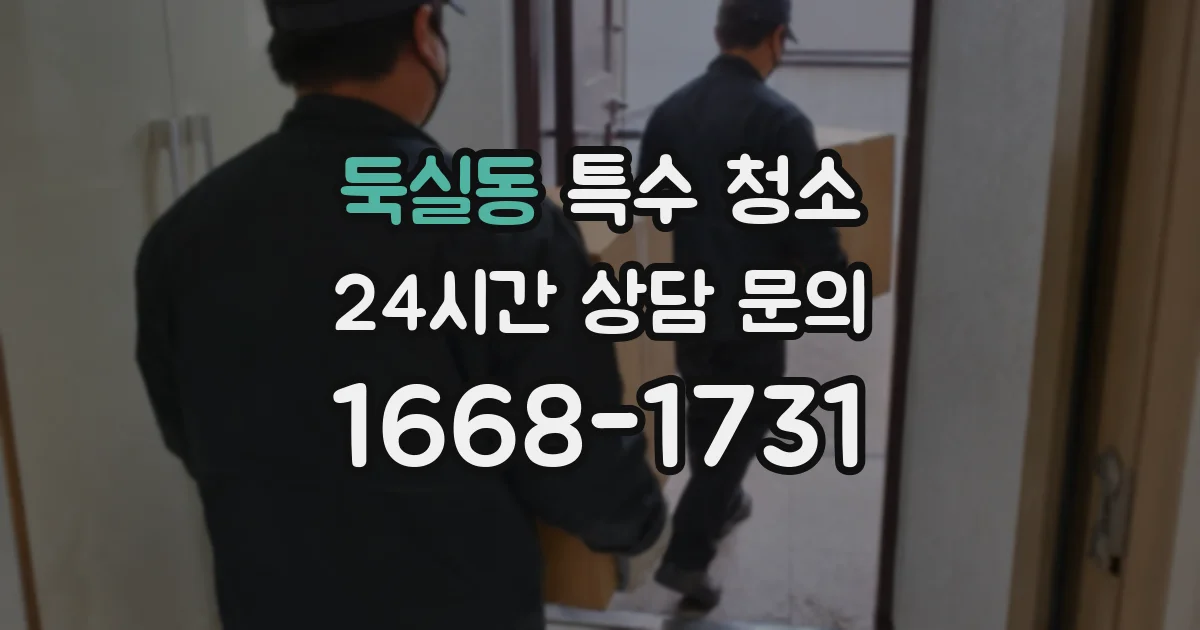 둑실동 특수 청소