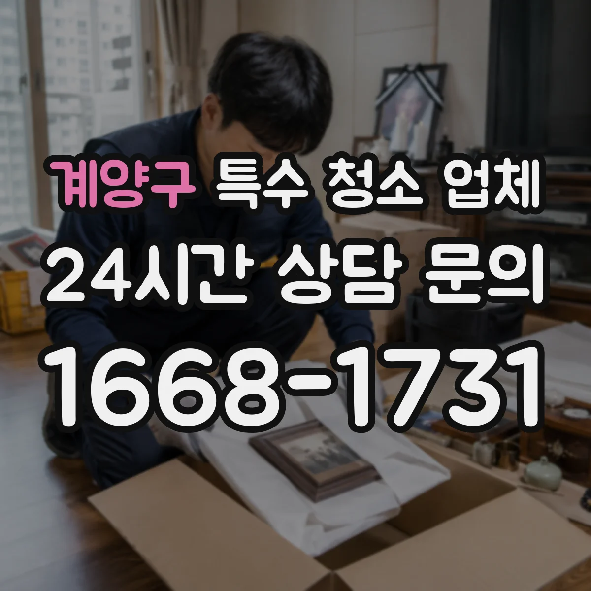 계양구 특수 청소 업체