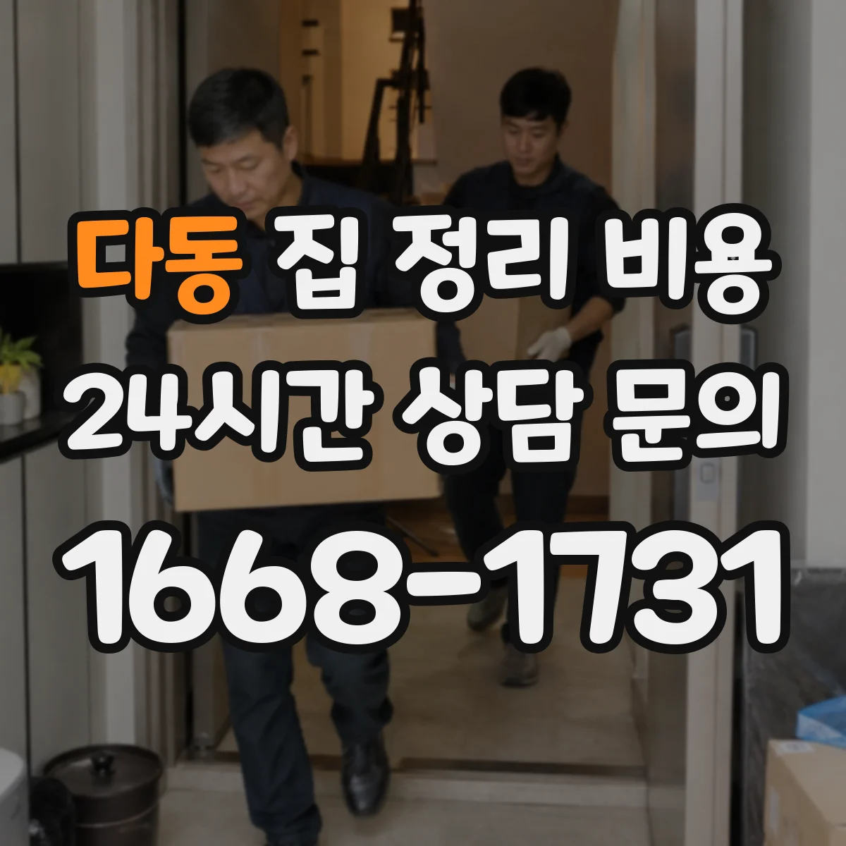 다동 집 정리 비용