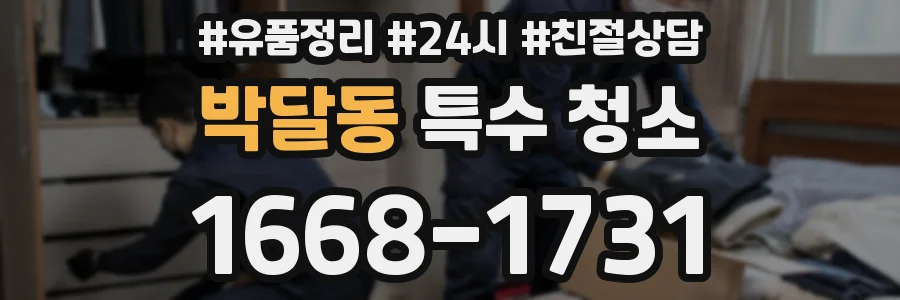박달동 특수 청소