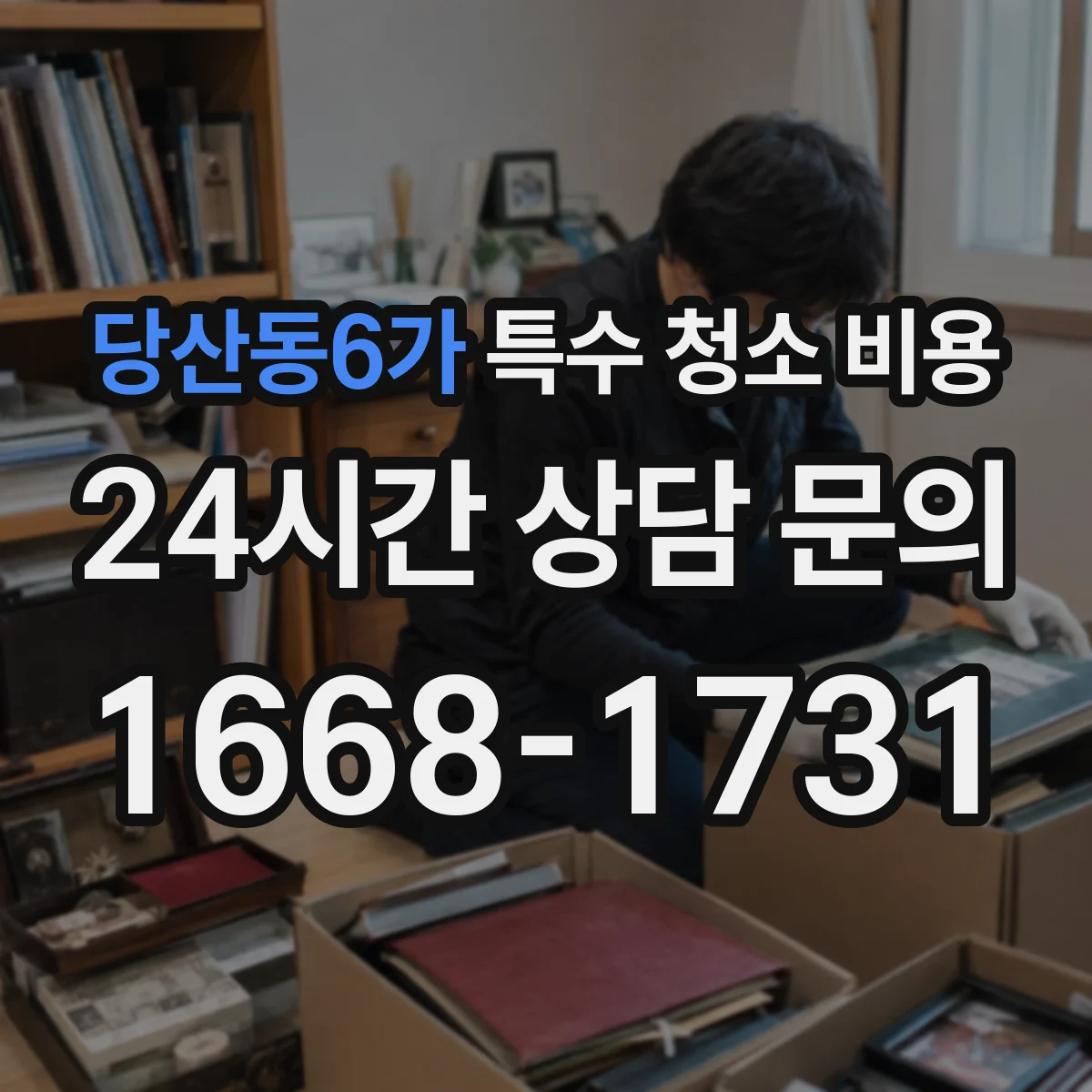 당산동6가 특수 청소 비용