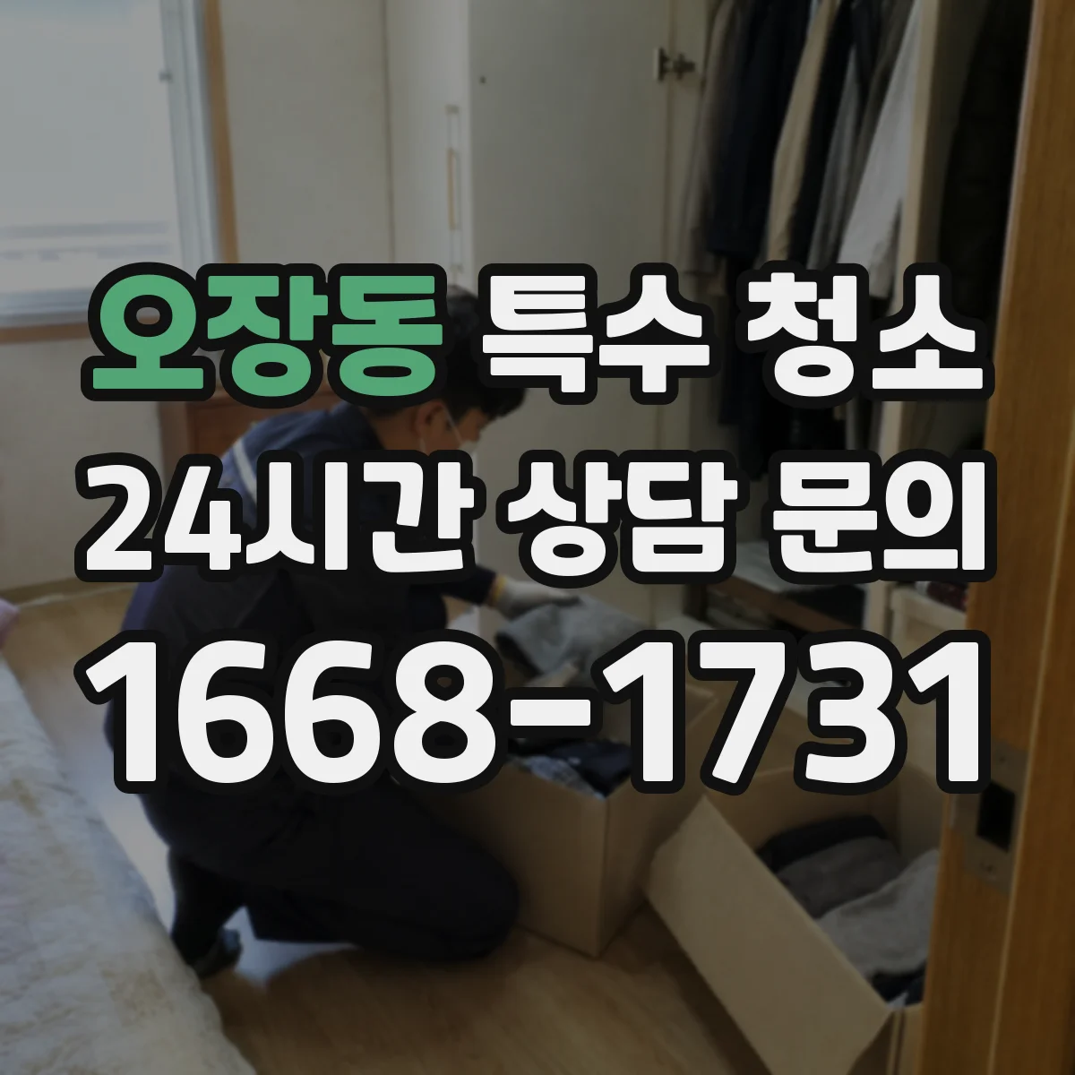 오장동 특수 청소