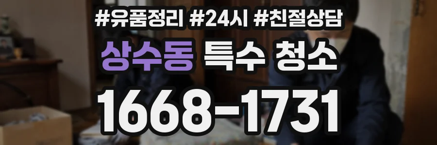 상수동 특수 청소