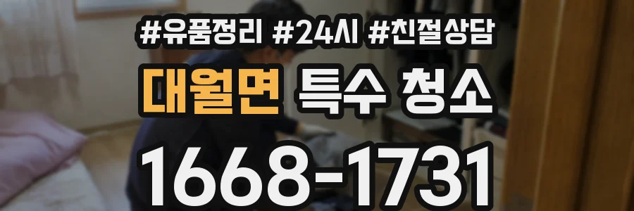 대월면 특수 청소