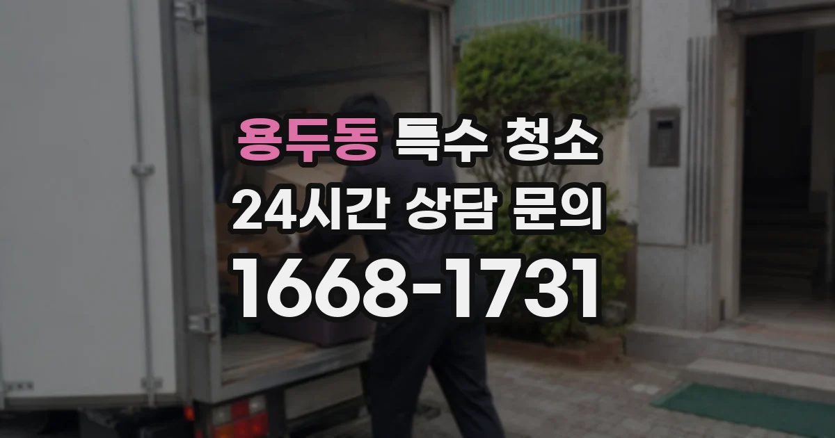 용두동 특수 청소