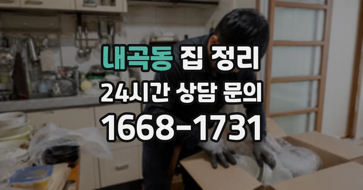 내곡동 집 정리