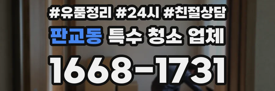 판교동 특수 청소 업체