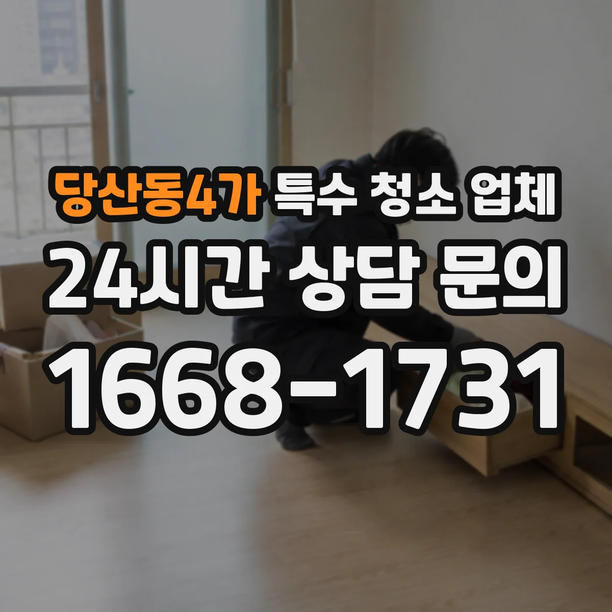 당산동4가 특수 청소 업체