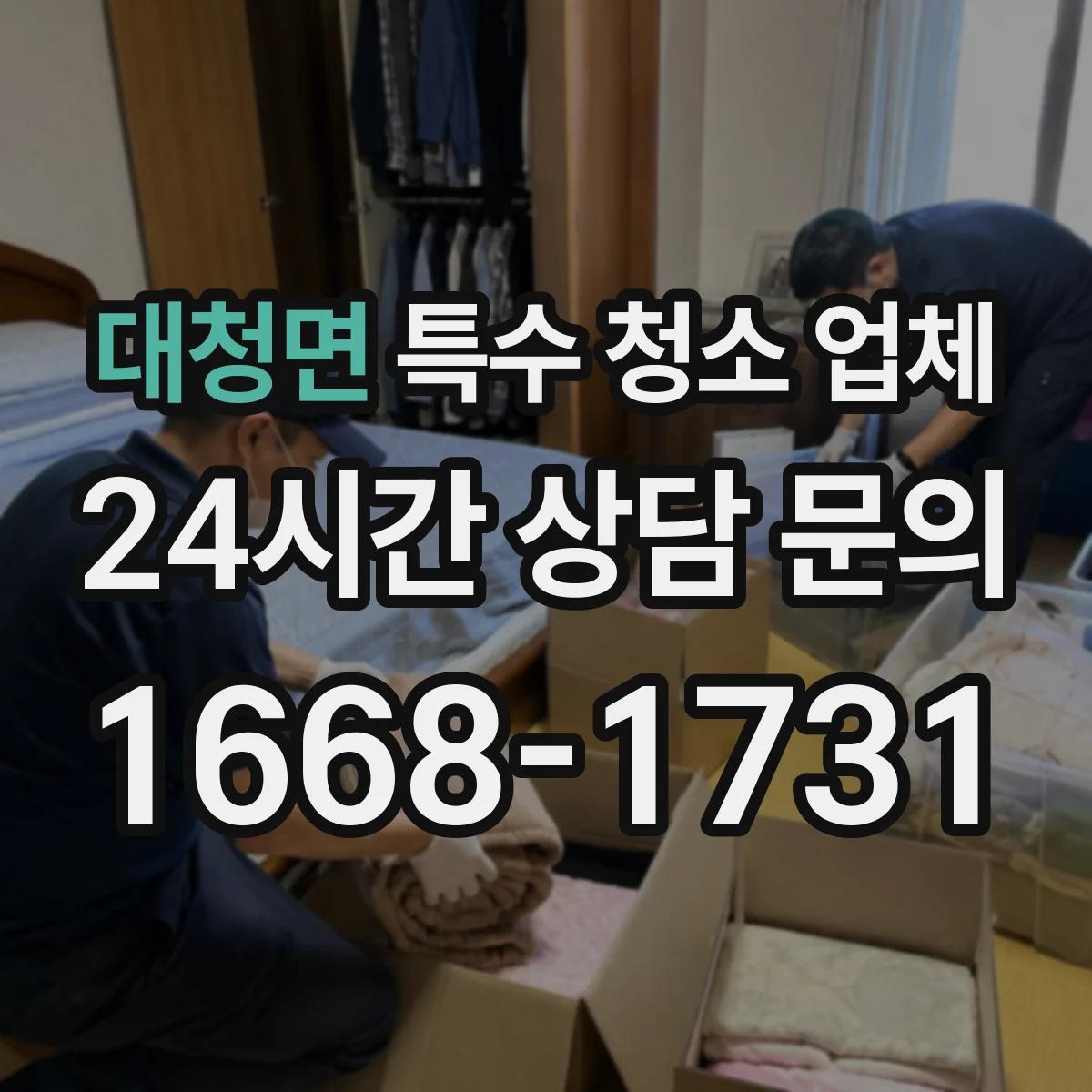 대청면 특수 청소 업체