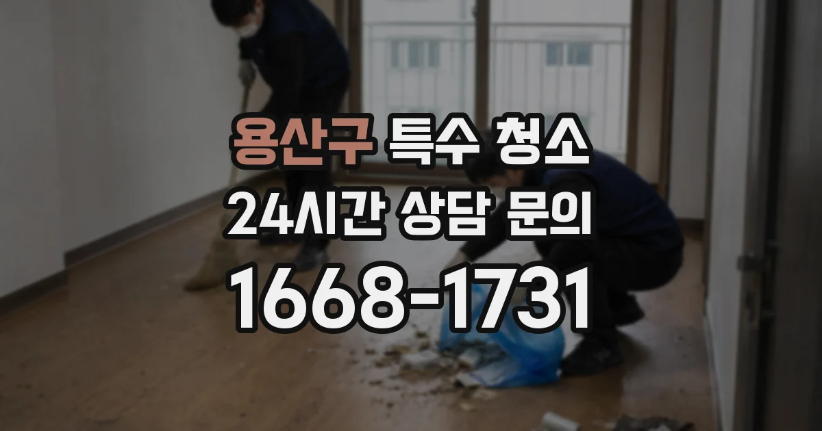 용산구 특수 청소