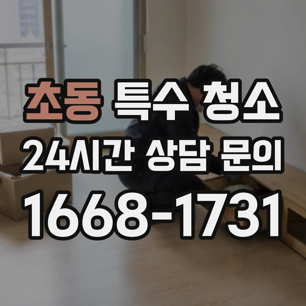 초동 특수 청소