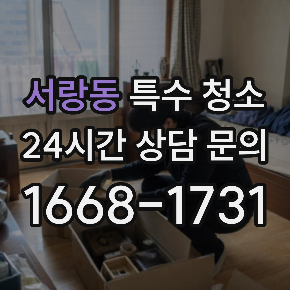 서랑동 특수 청소