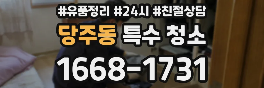 당주동 특수 청소