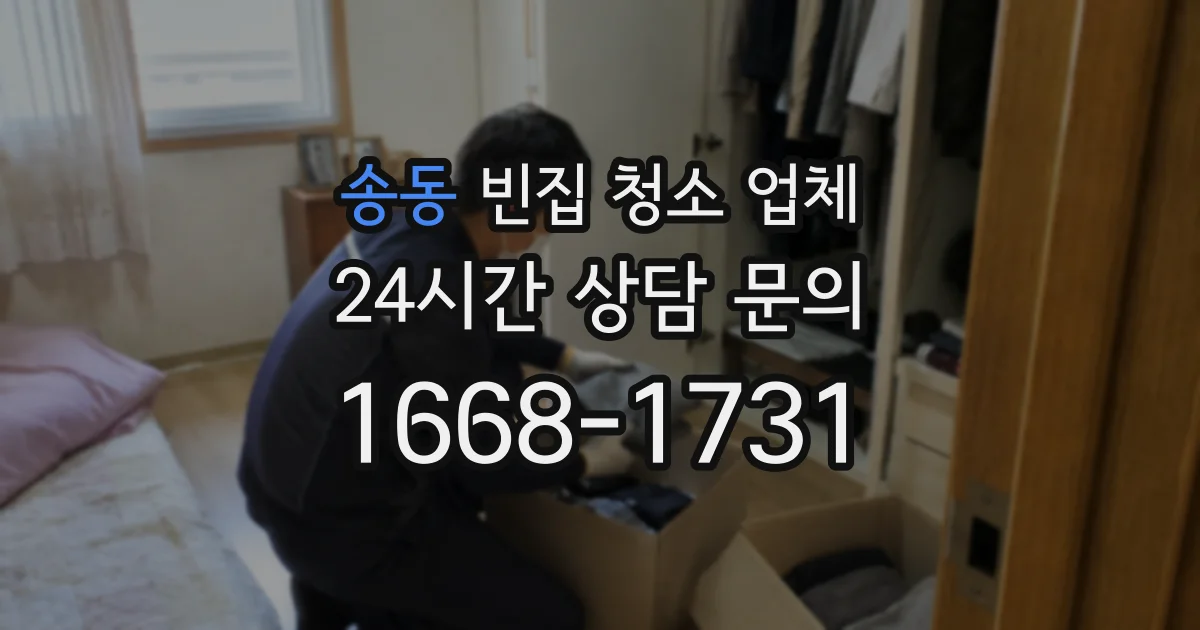 송동 빈집 청소 업체