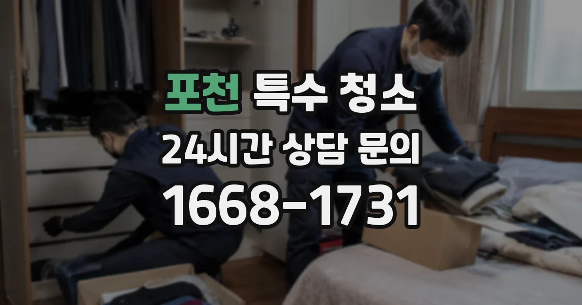 포천 특수 청소