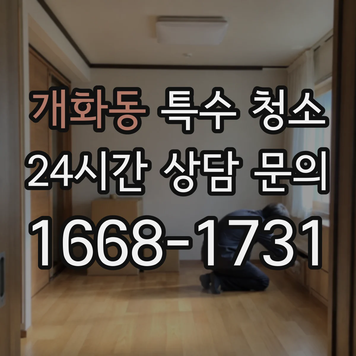 개화동 특수 청소