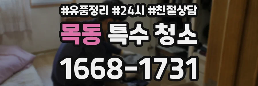 목동 특수 청소