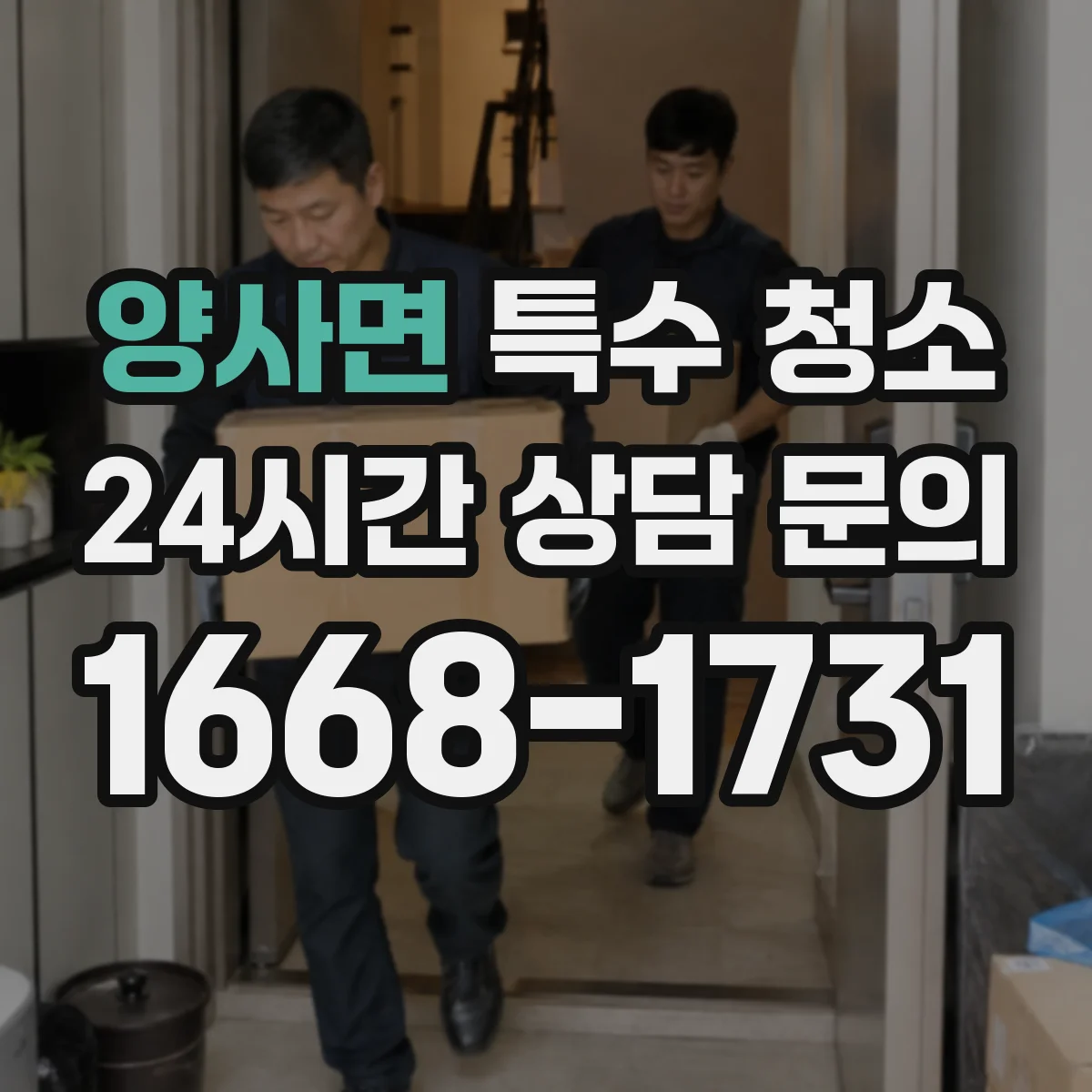 양사면 특수 청소