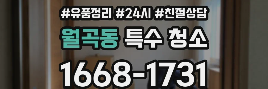 월곡동 특수 청소