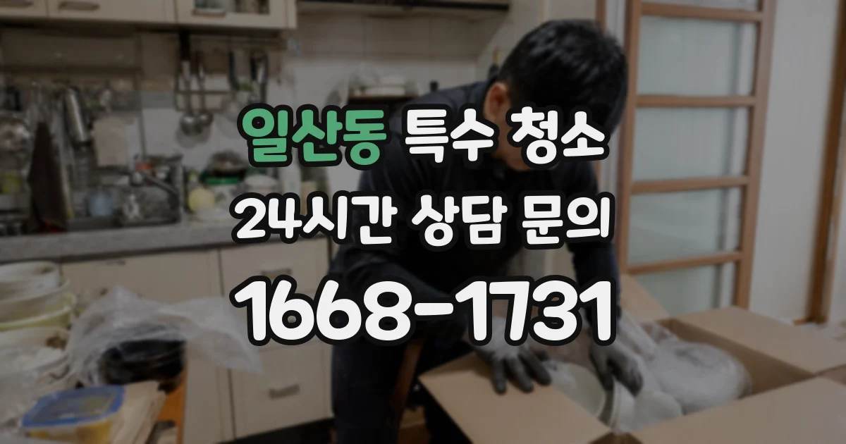 일산동 특수 청소
