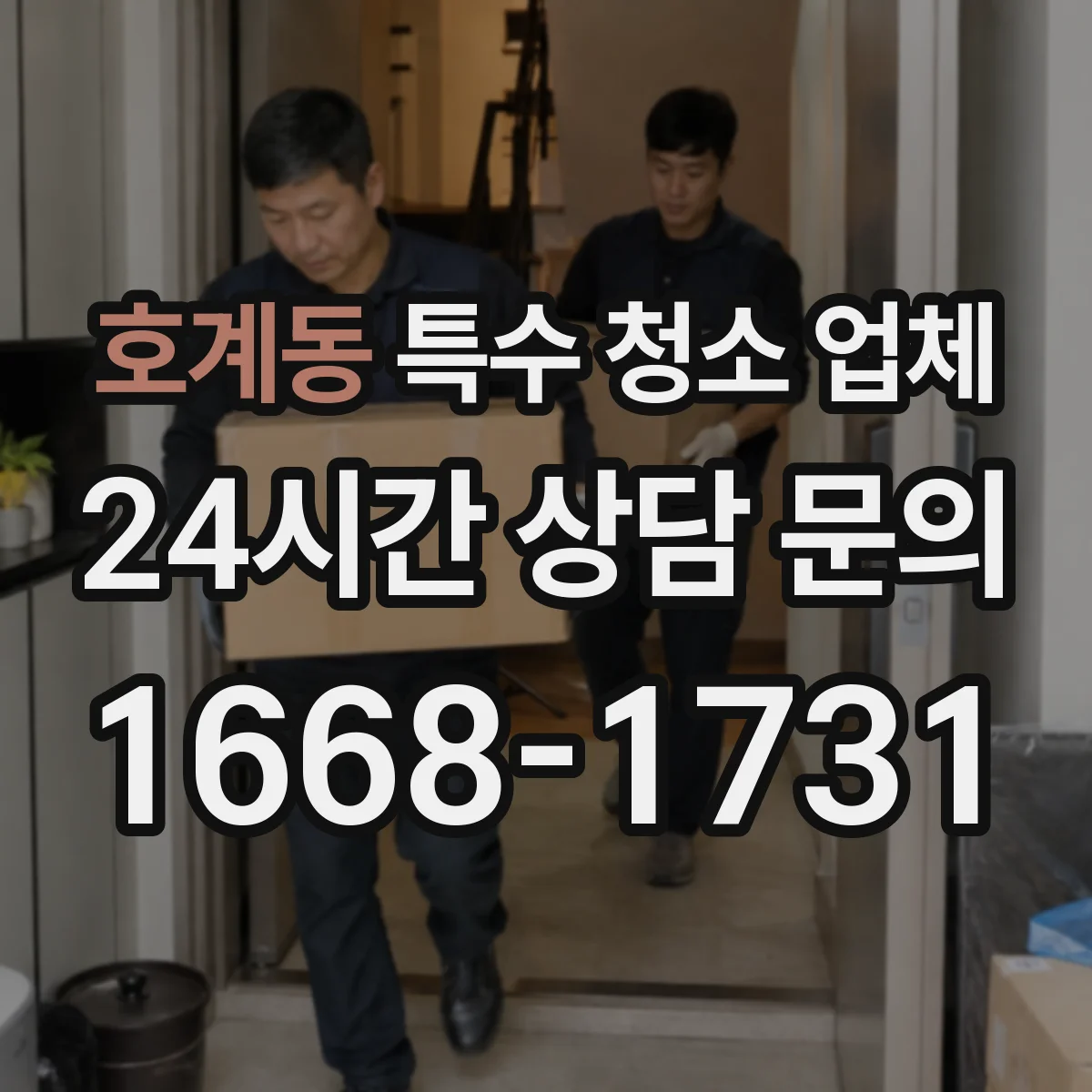 호계동 특수 청소 업체