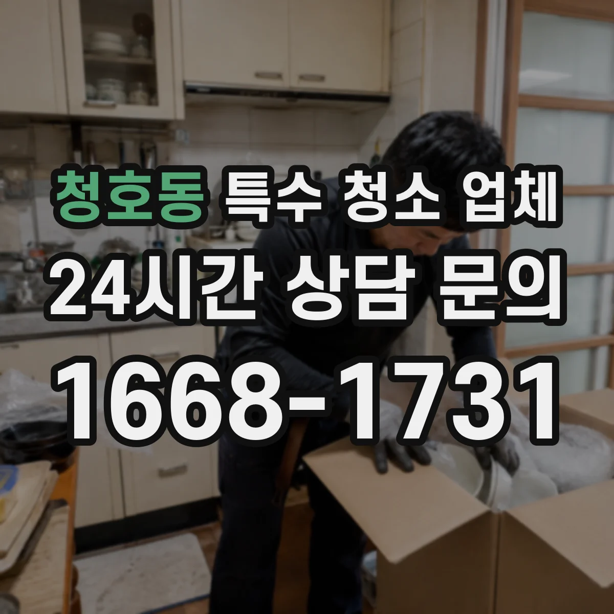 청호동 특수 청소 업체