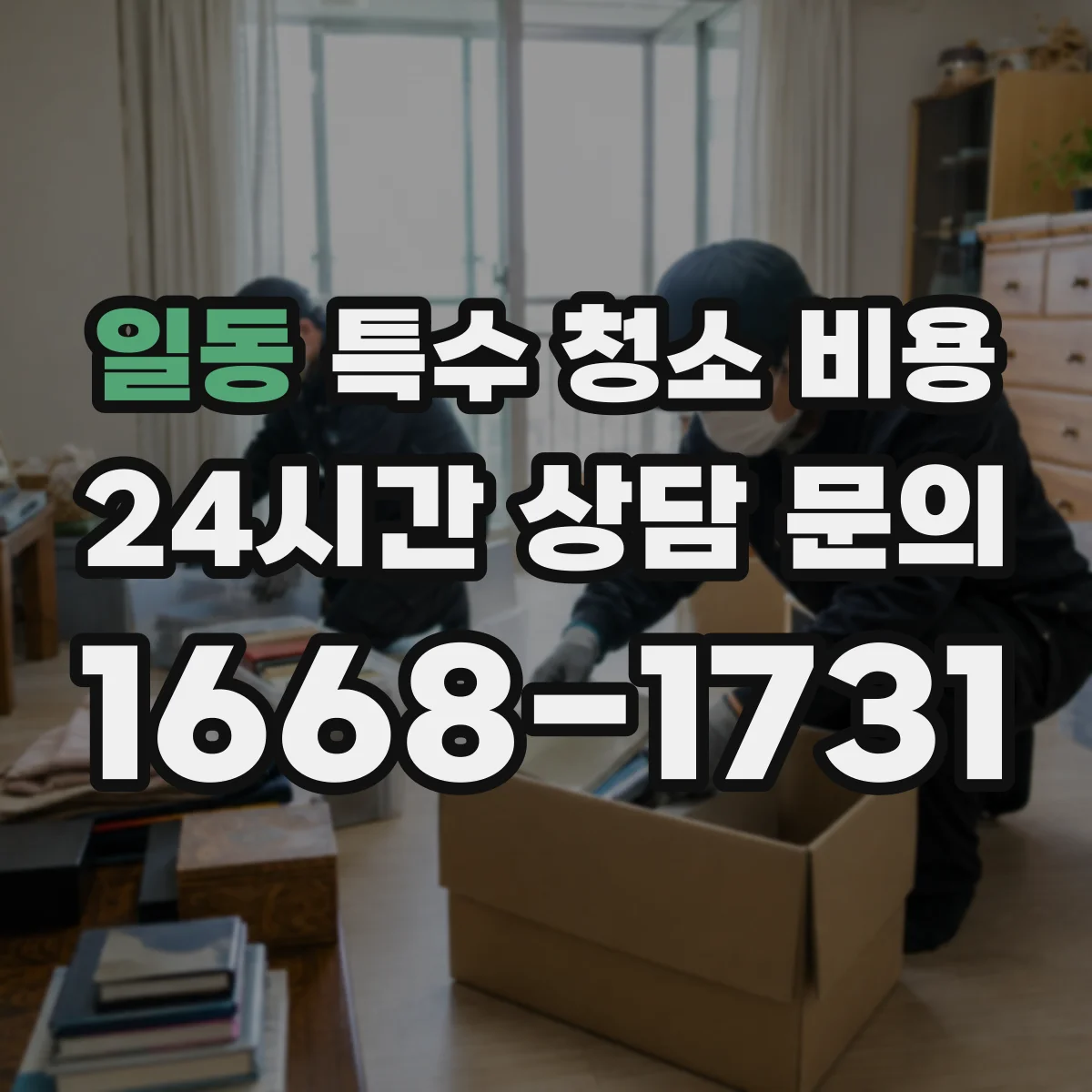 일동 특수 청소 비용