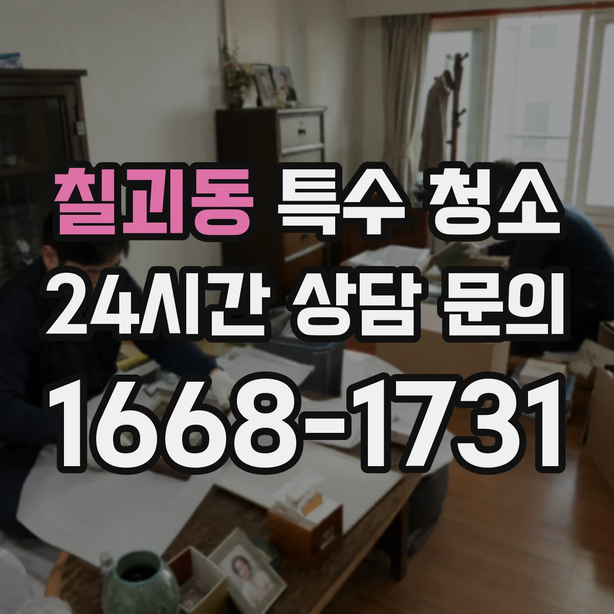 칠괴동 특수 청소