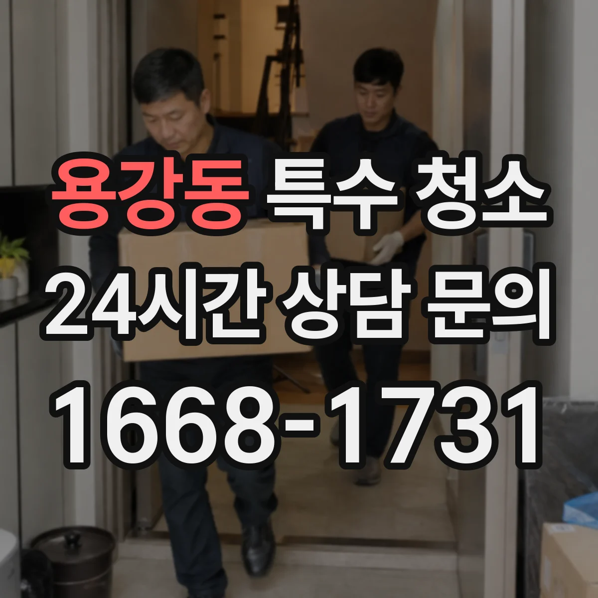용강동 특수 청소