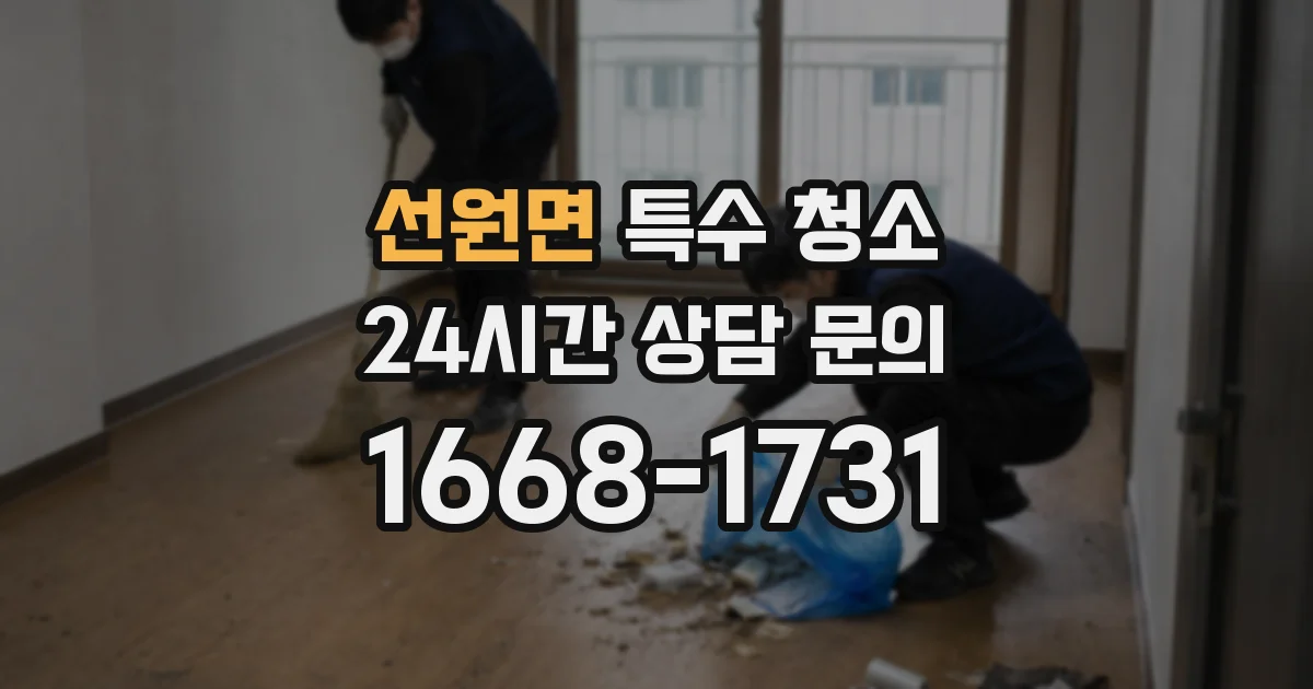 선원면 특수 청소