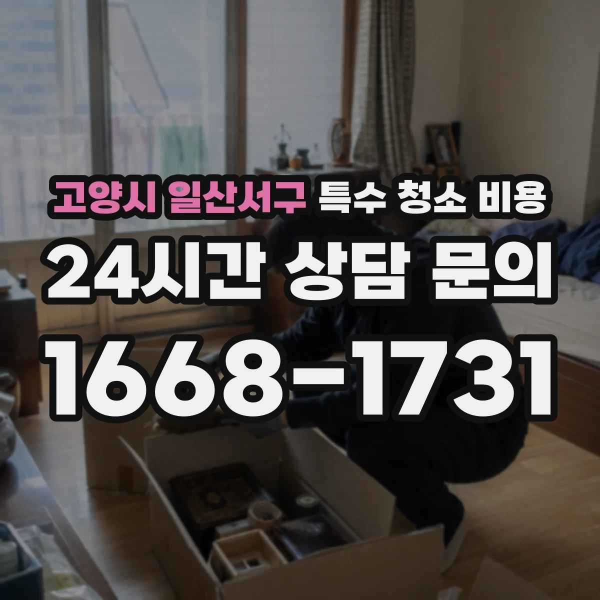 고양시 일산서구 특수 청소 비용 스팀·열처리 장비 비용 차이는